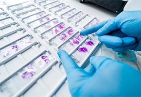 Histopathology