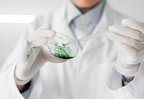 Microbiology